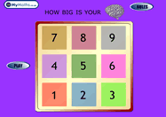 How Big Is Your Brain